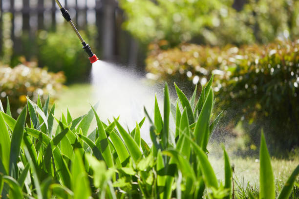 24/7 Emergency Mosquito Control experts in Geneva, IN